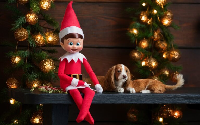 Elf on the Shelf Ideas: Creative and Fun Ways to Surprise Your Kids elf on the shelf ideas
